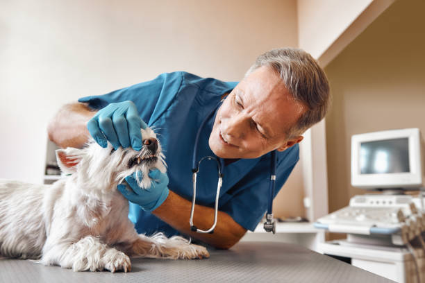 Best Emergency Tooth Extraction in Bray, OK